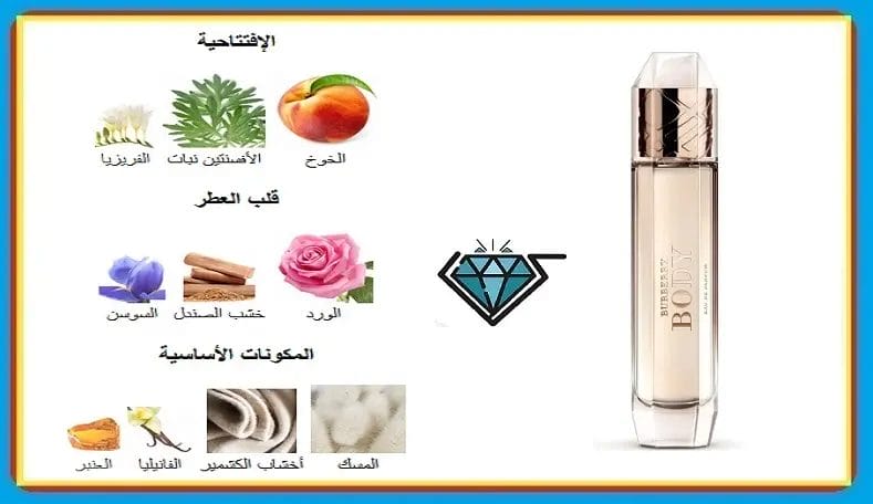 تقييم شامل | مراجعة عطر بودي بربري النسائي الأصلي عطر بربري بودي