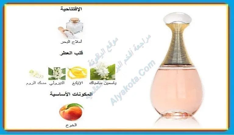 مراجعة عطر جادور انجوي من ديور للنساء الاصلي عطر جادور انجوي